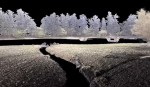毛越寺浄土庭園のデジタルアーカイブ映像公開